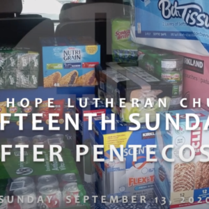 Fifteenth Sunday after Pentecost 2020