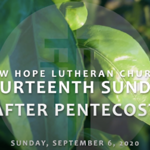 Fourteenth Sunday after Pentecost 2020