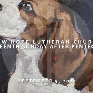 Fifteenth Sunday After Pentecost 2021