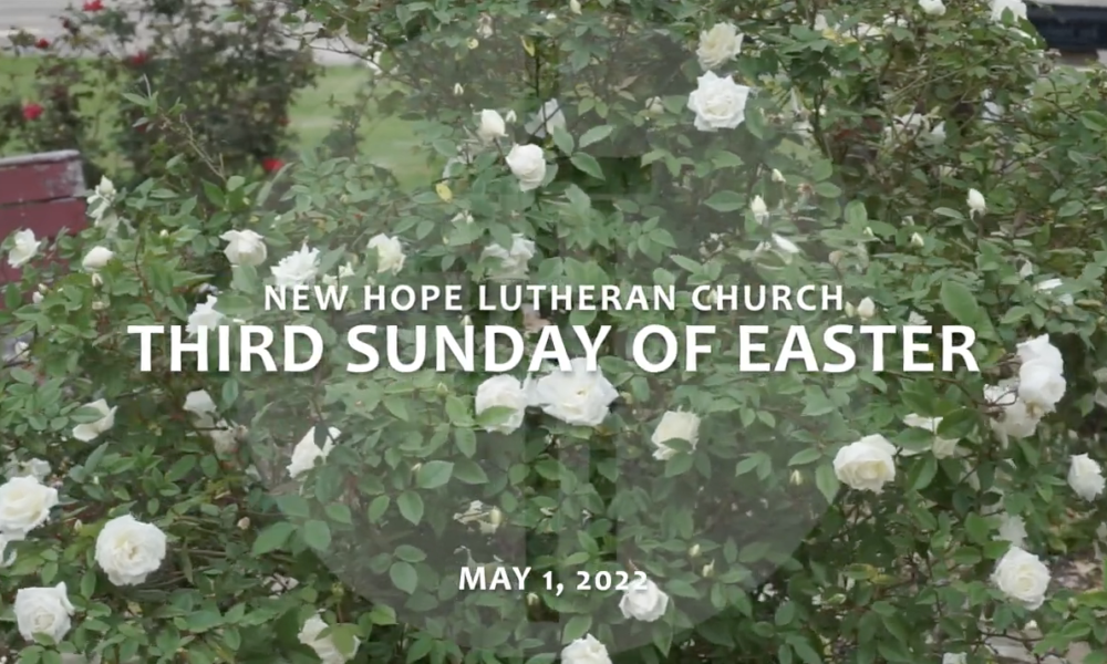Third Sunday of Easter 2022
