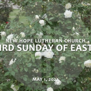 Third Sunday of Easter 2022