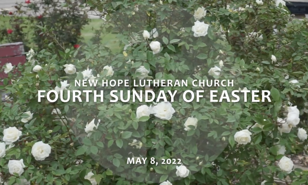 Fourth Sunday of Easter 2022