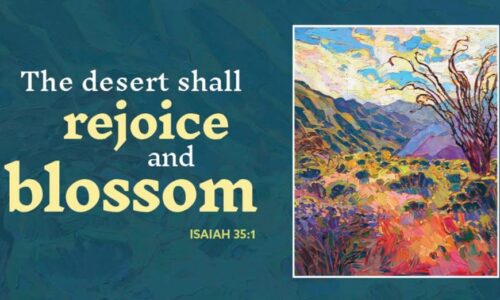 Third Sunday of Advent 2025