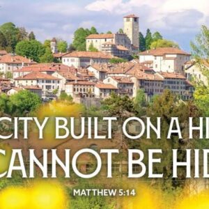 Fifth Sunday after the Epiphany 2026