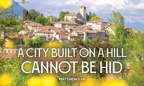 Fifth Sunday after the Epiphany 2026