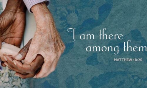 Fifteenth Sunday after Pentecost 2026