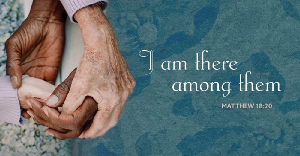 Fifteenth Sunday after Pentecost 2026 Fifteenth Sunday after Pentecost 2026